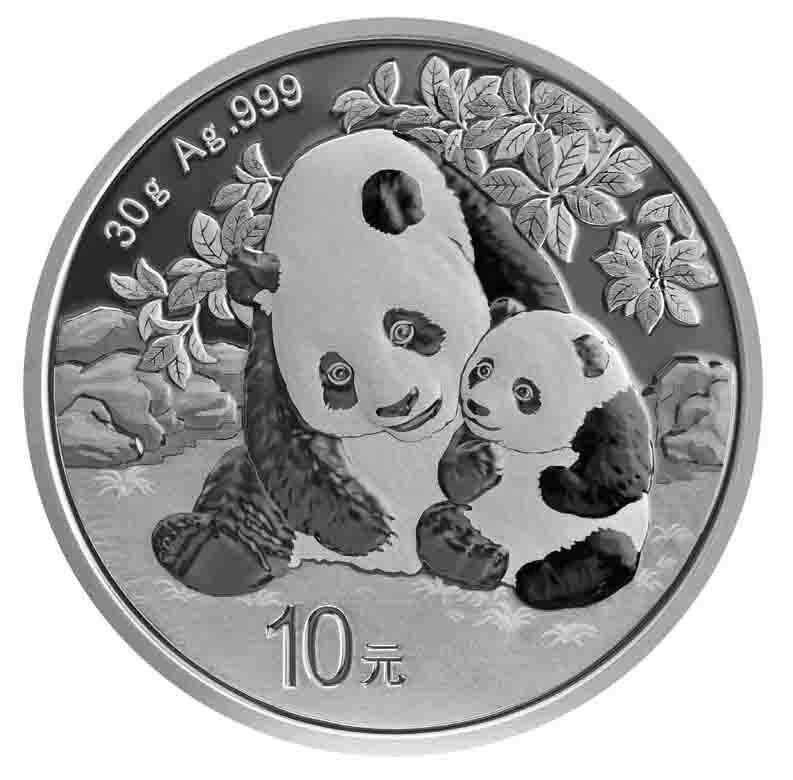 2024 30g ¥10 CNY Chinese Silver Panda Coin | European Mint